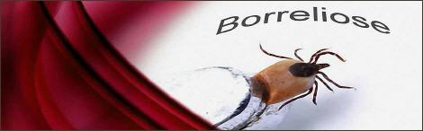 borreliose therapie oberösterreich