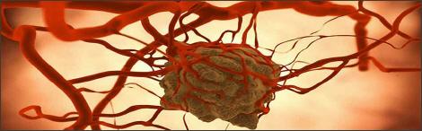 krebs therapie oberösterreich